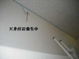 急げ急げ、慌てるでない。_f0031037_21205832.jpg