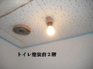 急げ急げ、慌てるでない。_f0031037_21211928.jpg
