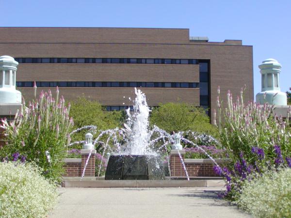 d0216939_15241.jpg
