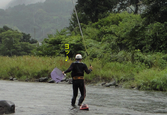 a0056140_1520824.gif