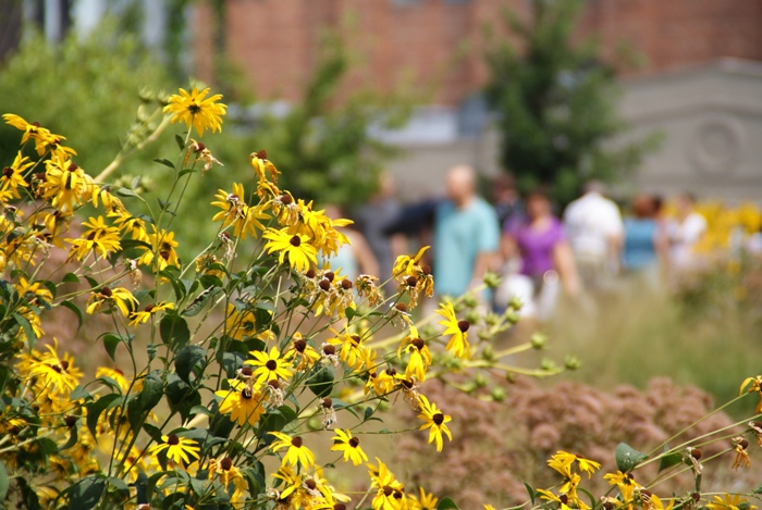 \'11夏のNY/The HIGH LINE その2。_c0022340_13372286.jpg