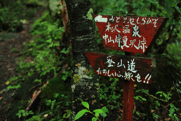 Rainy hile in KITA_YATSUGATAKE vol.1_c0228945_794639.jpg