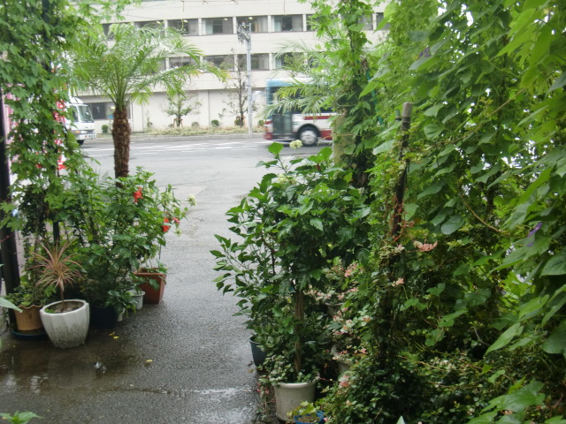 b0152548_15115763.jpg