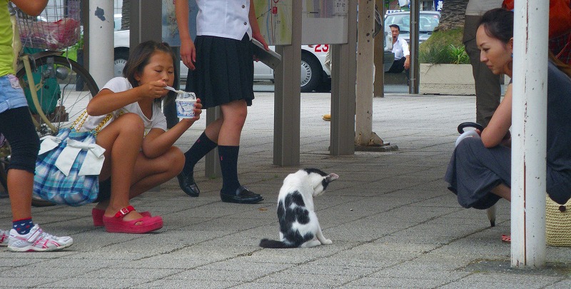 伊豆半島との付き合い_d0007653_20474490.jpg