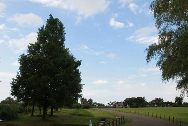 f0108553_19213049.jpg