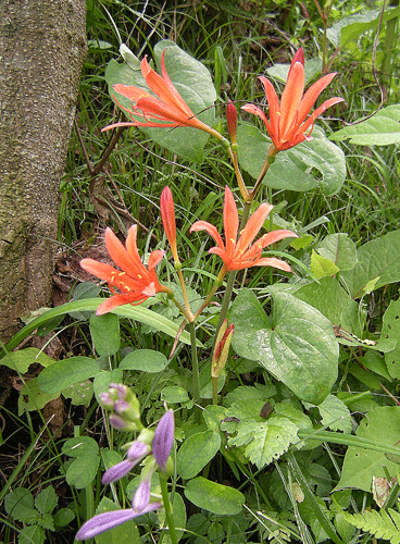 a0001354_22471938.gif