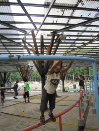 d0000459_23395969.gif