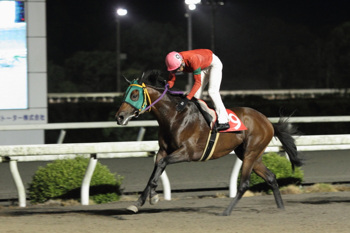 2011年8月22日（月） 高知競馬 9R 室戸海洋深層水特別 C1-1選抜馬_a0077663_932667.jpg