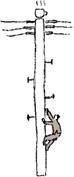 c0108366_12223483.gif