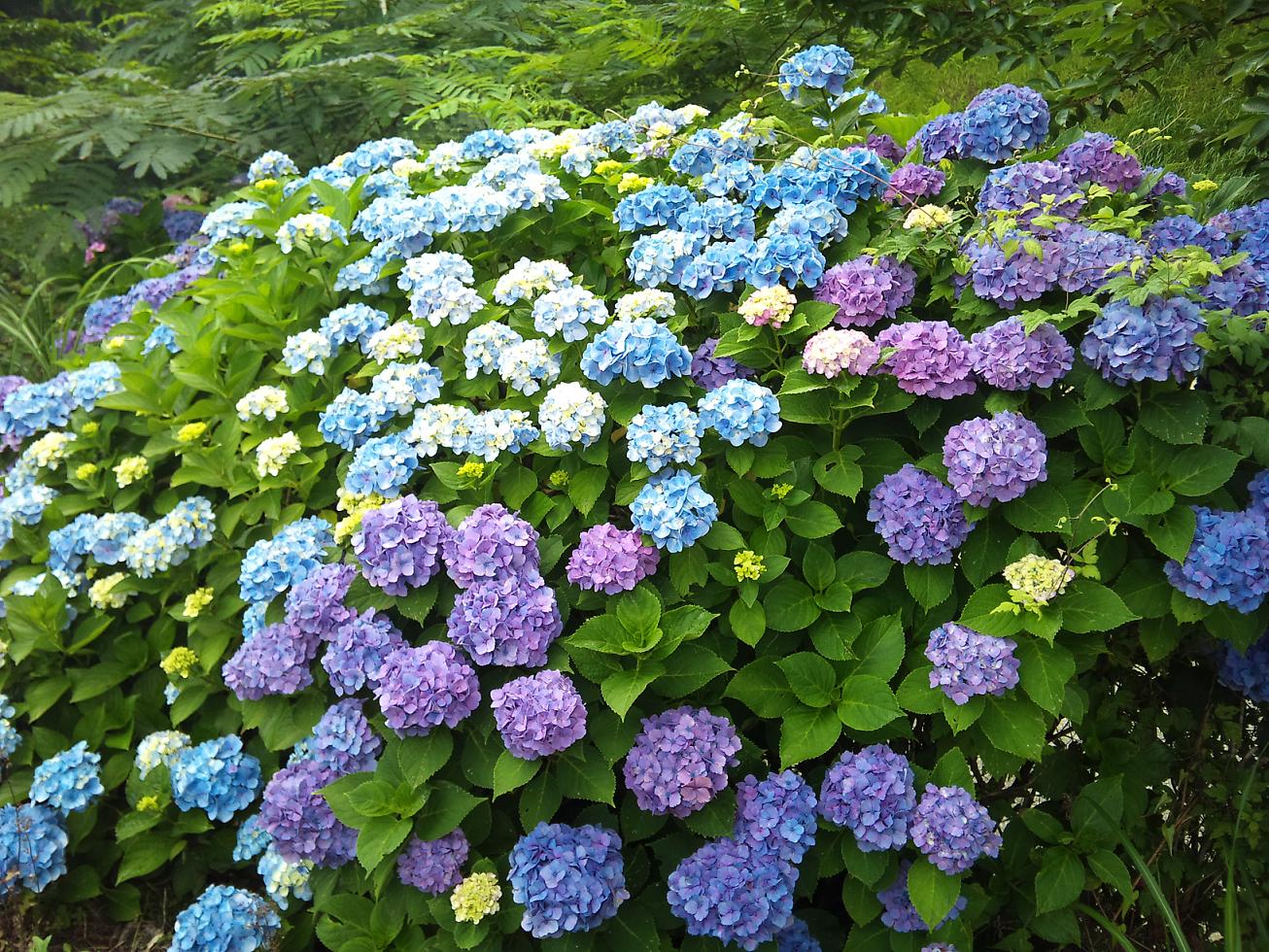 愛媛県西条市横峰寺 リアライズ 友よ共に光の中へ