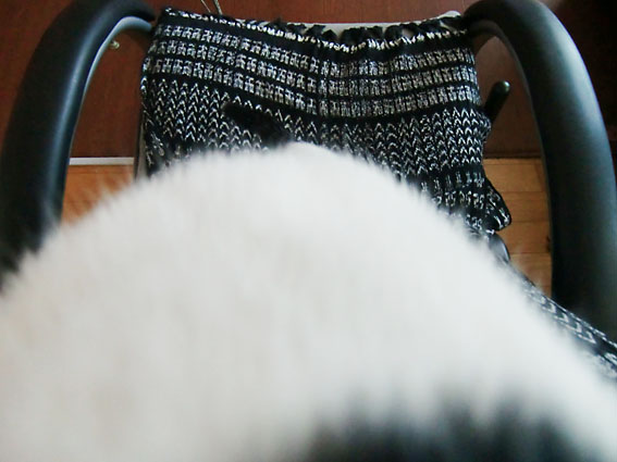 c0226874_1344113.jpg