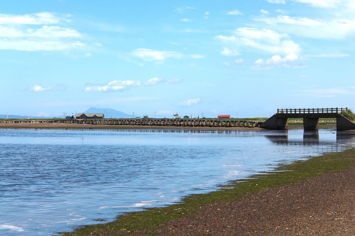 風景　花　他　　北海道_b0044477_0241615.jpg