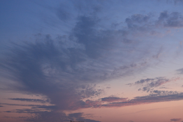 d0230877_02543.jpg