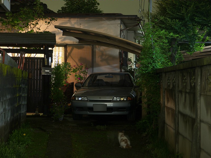 夜の猫_c0109780_1725533.jpg