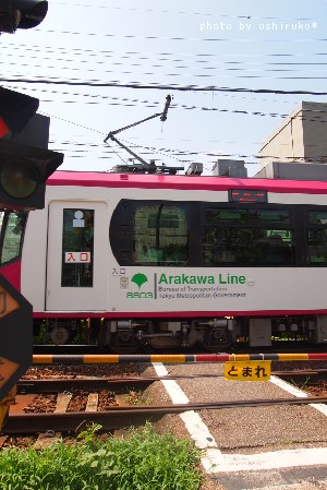 ちんちん電車_a0206588_15441947.jpg