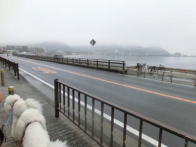 e0222588_1772321.jpg