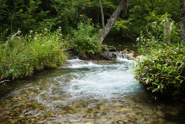 a0127090_2102166.jpg