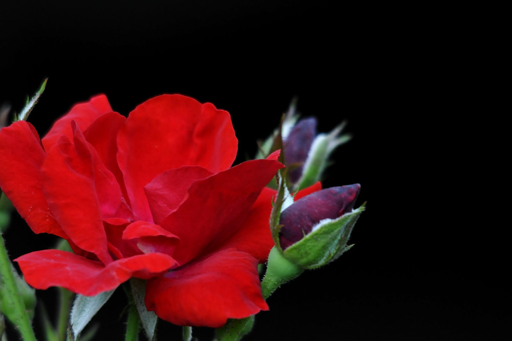 a0143491_2231845.jpg