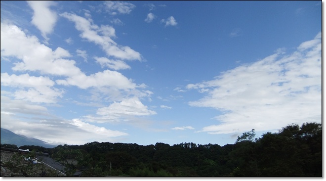 f0215591_49420.jpg