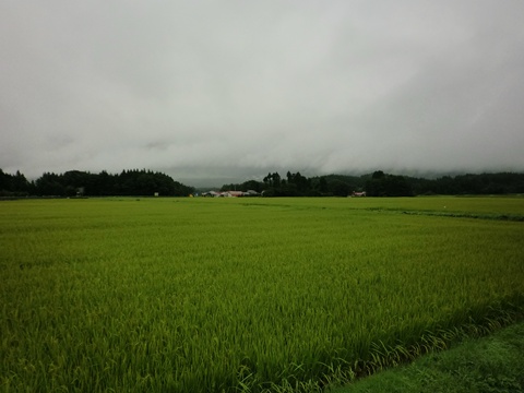 a0138198_15161514.jpg