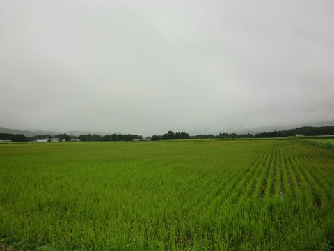 a0138198_15165389.jpg