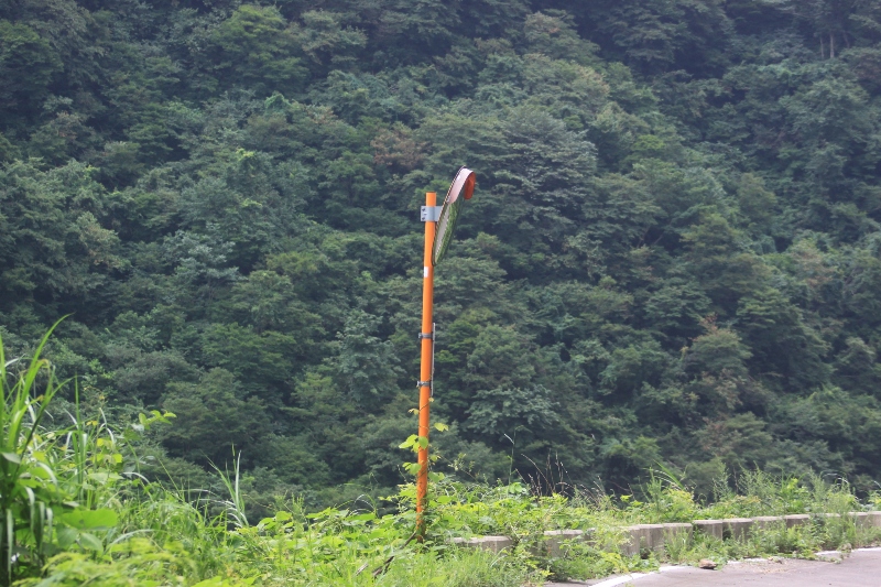 b0138798_11451259.jpg