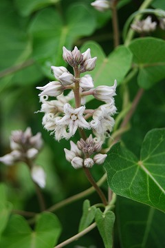 c0124100_9403010.jpg