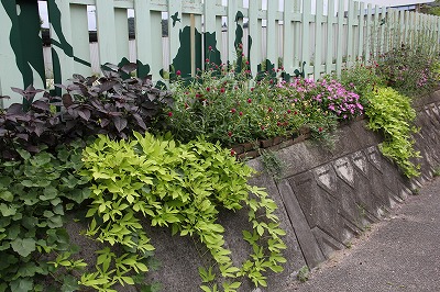 a0123003_9574069.jpg