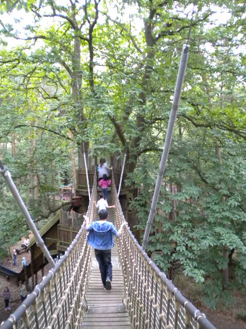 e0160905_8145196.jpg