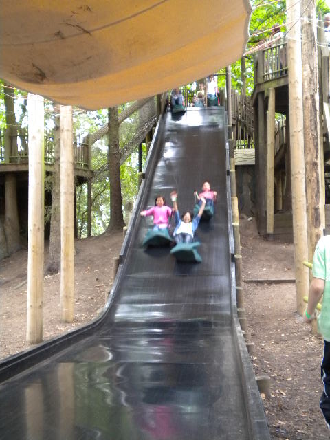 e0160905_818282.jpg