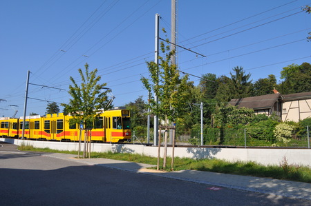 d0179006_21364193.jpg
