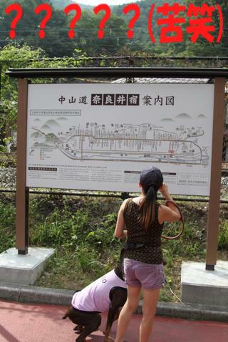 e0100007_2159222.jpg