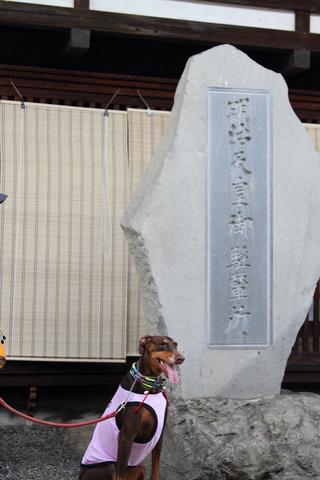 e0100007_220178.jpg