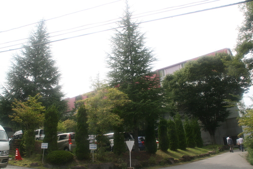 a0206808_8242429.jpg