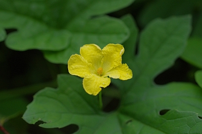 c0156908_9531214.jpg