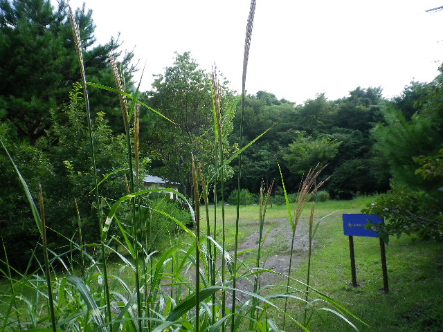 収穫_e0179508_21484395.jpg