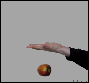 8/27(土)芦屋公演/塩見氏寄稿_c0050810_20383653.gif