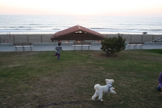 a0112911_1464591.jpg