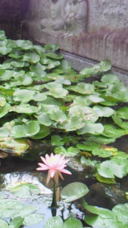 a0217512_1624057.jpg