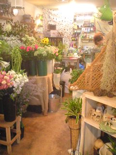 翅さんの居るところ Flower Shop Le Vent 翅さんの居るところ Flower Shop Le Vent