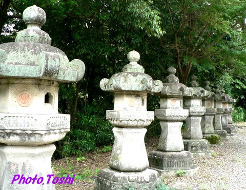 滝山寺と滝山東照宮_b0223617_958491.jpg