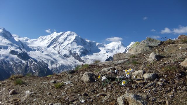 f0209618_2112896.jpg