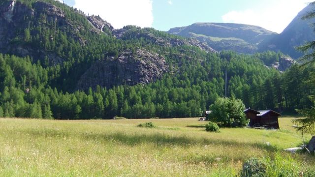 f0209618_2113368.jpg
