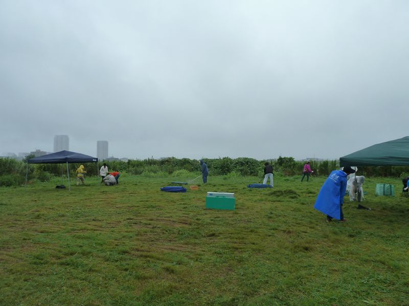 d0046821_9574644.jpg