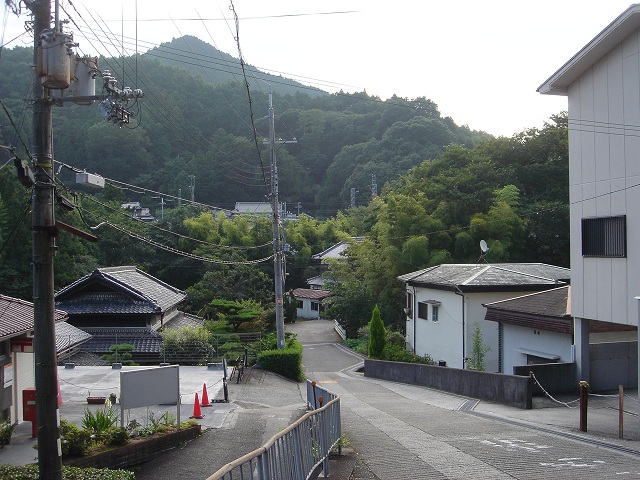 高野街道ＮＯ、１７　　２０１１・８・２４_f0000521_24209.jpg