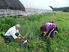 山形と宮城から学生さんです☆_e0061225_14423251.jpg