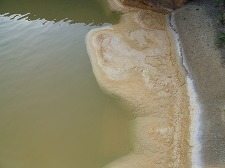 d0086228_14223199.jpg