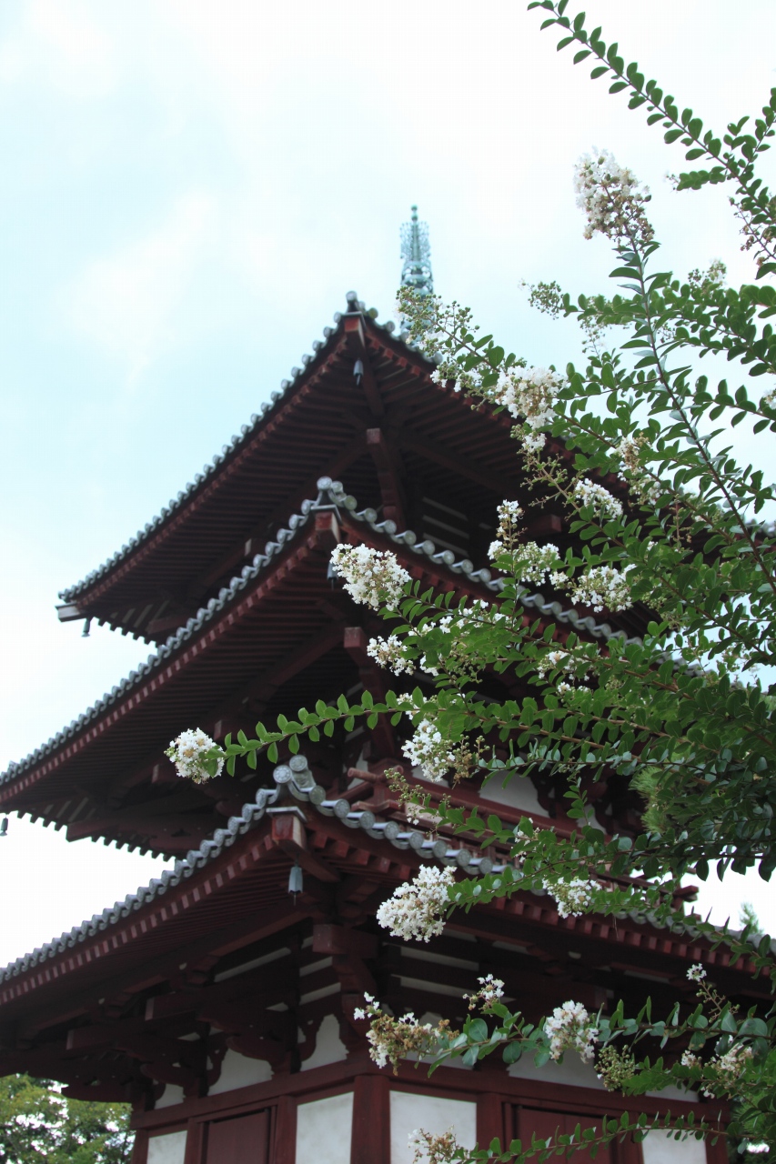 d0200029_20214999.jpg