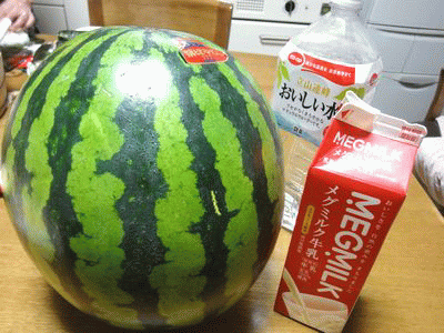 f0196231_19335346.gif