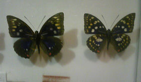 f0161535_13444630.jpg